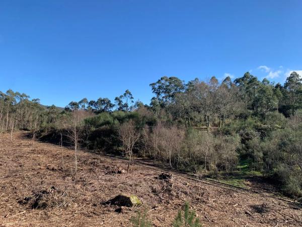 Terreno en Ep-0405, km 2