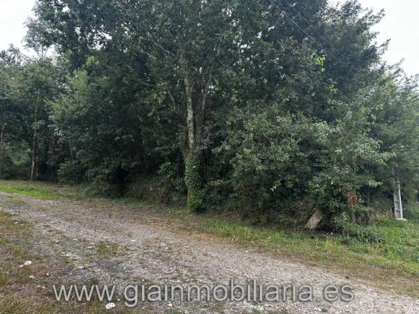 Terreno en Condesa, 26