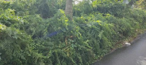 Terreno en Barrio Pontillón s/n