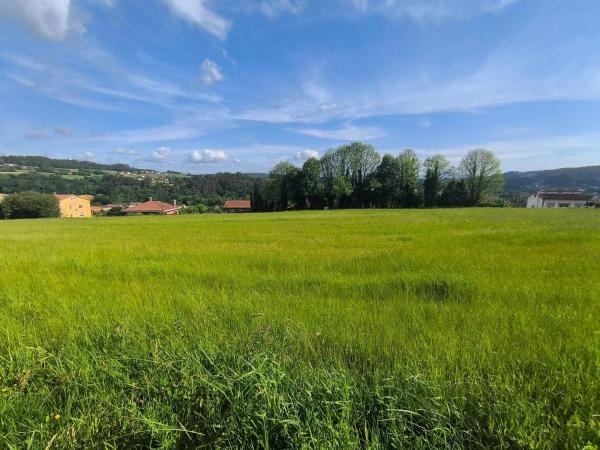 Terreno en Lugar o Igrexario