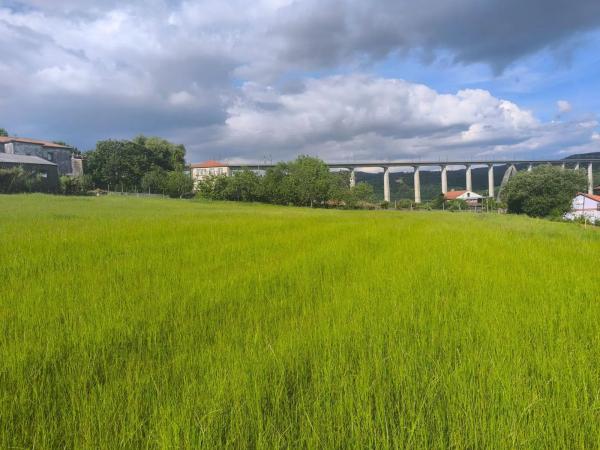 Terreno en Lugar o Igrexario
