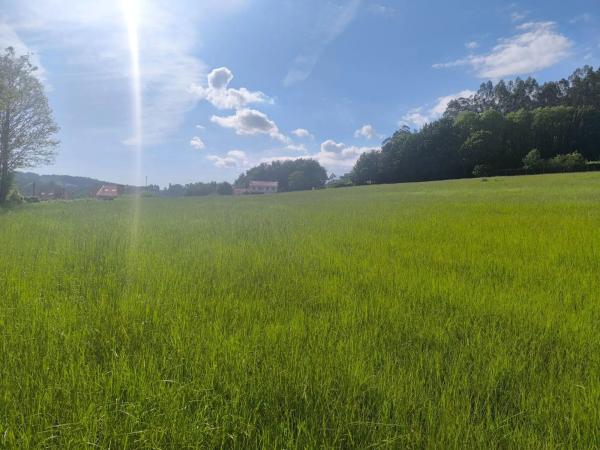 Terreno en Lugar o Igrexario