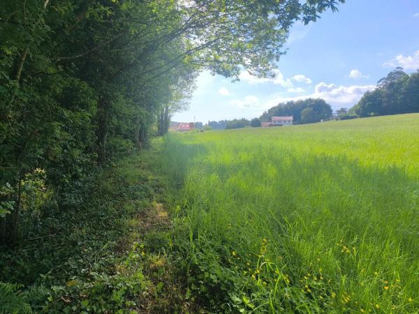 Terreno en Lugar o Igrexario