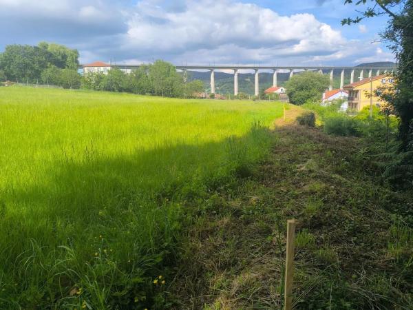 Terreno en Lugar o Igrexario