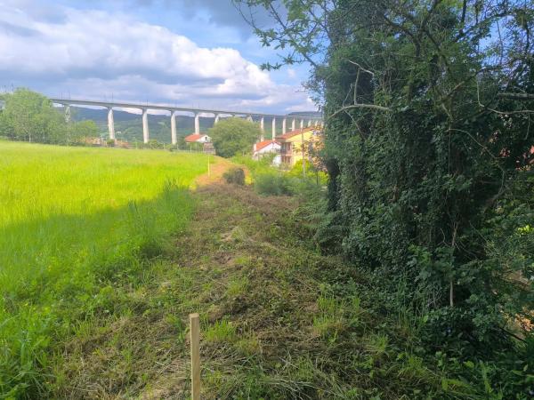 Terreno en Lugar o Igrexario