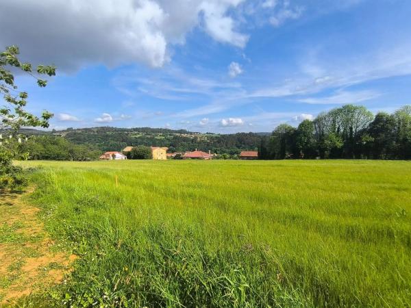 Terreno en Lugar o Igrexario