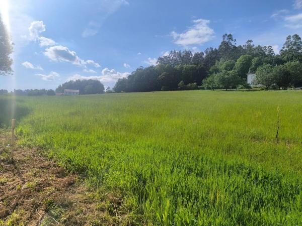 Terreno en Lugar o Igrexario