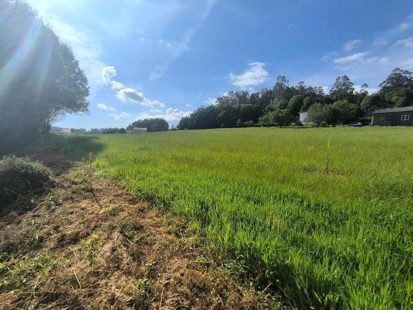 Terreno en Lugar o Igrexario