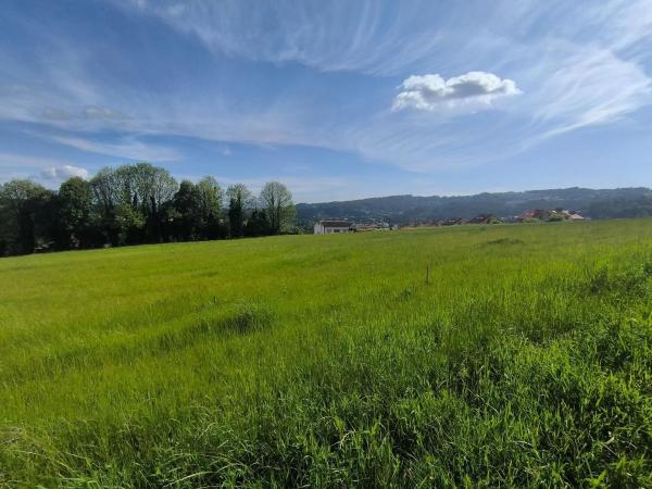 Terreno en Lugar o Igrexario