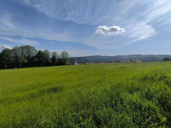 Terreno en Lugar o Igrexario