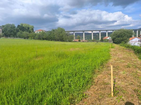 Terreno en Lugar o Igrexario