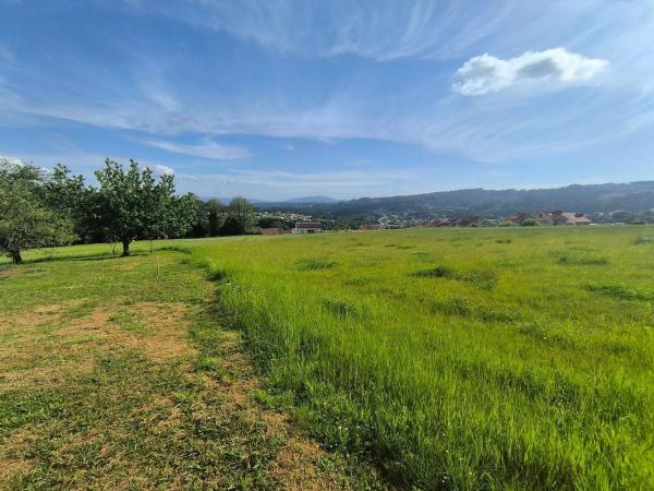 Terreno en Lugar o Igrexario