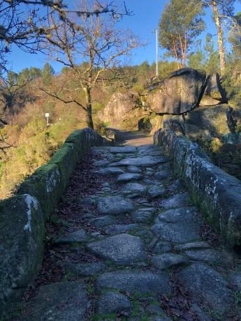 Terreno en Lugar As Cachopeiras, 9