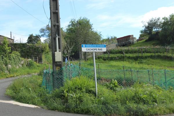 Terreno en Lugar As Cachopeiras, 9