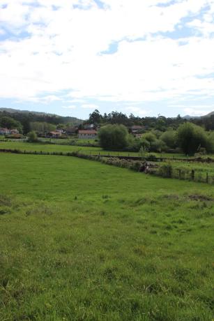 Terreno en Lugar As Cachopeiras, 9