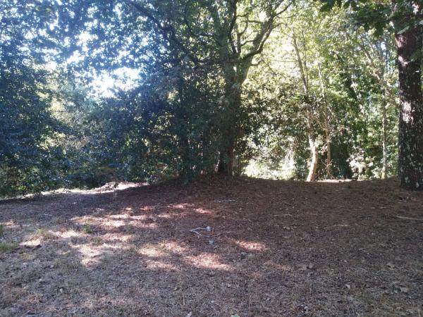 Terreno en o Pozo Negro, 20