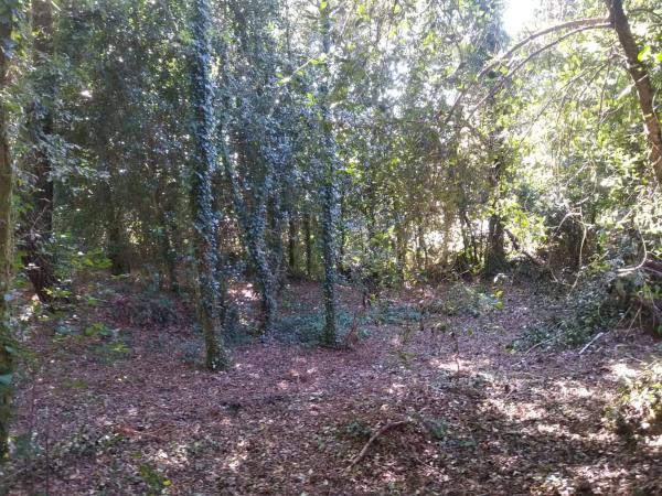 Terreno en o Pozo Negro, 20