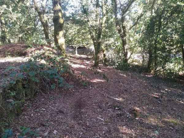 Terreno en o Pozo Negro, 20