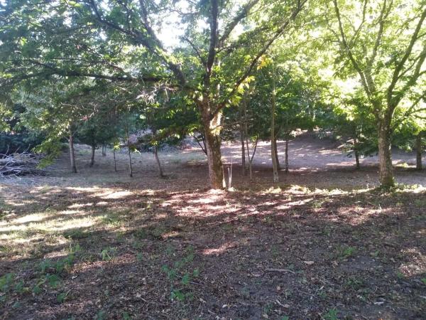 Terreno en o Pozo Negro, 20