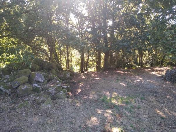 Terreno en o Pozo Negro, 20