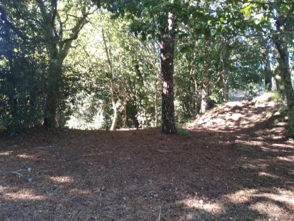 Terreno en o Pozo Negro, 20