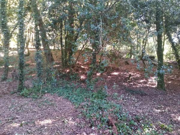 Terreno en o Pozo Negro, 20