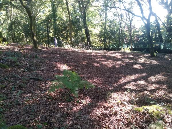 Terreno en o Pozo Negro, 20