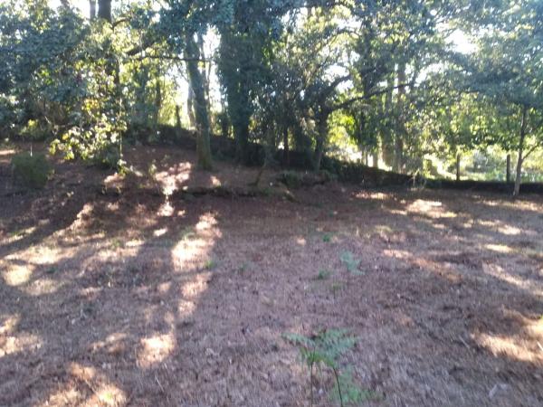 Terreno en o Pozo Negro, 20