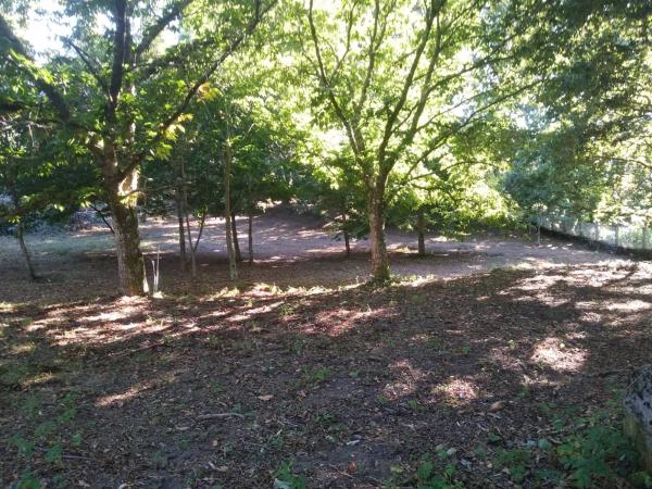 Terreno en o Pozo Negro, 20