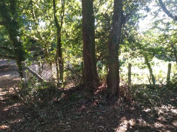 Terreno en o Pozo Negro, 20