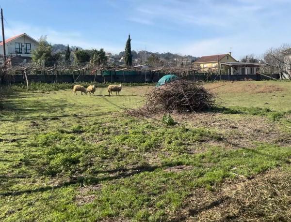 Terreno en a Carballeira, 57