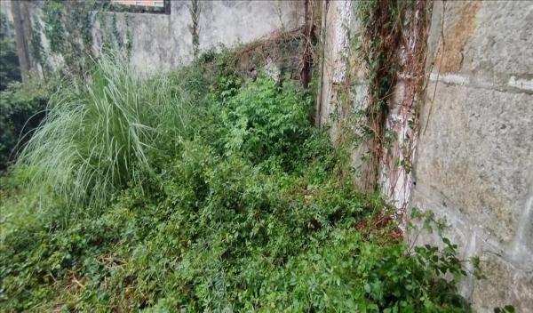 Terreno en avenida Antelo Mariño, 14