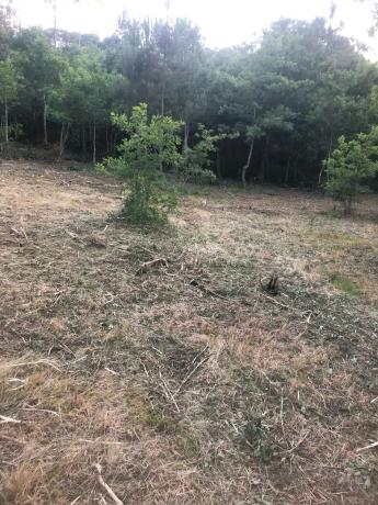 Terreno en Ep-0407 s/n