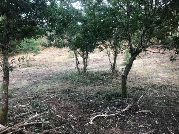 Terreno en Ep-0407 s/n