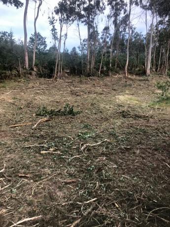 Terreno en Ep-0407 s/n