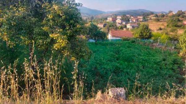 Terreno en Po-244, 169 -101