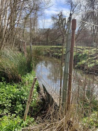 Terreno en Mourente s/n