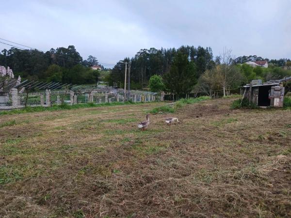 Terreno en Lugar Valladares, km 2