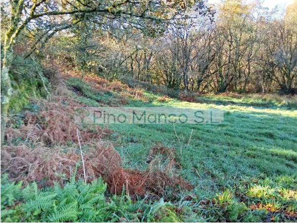 Terreno en Lugar a Senra