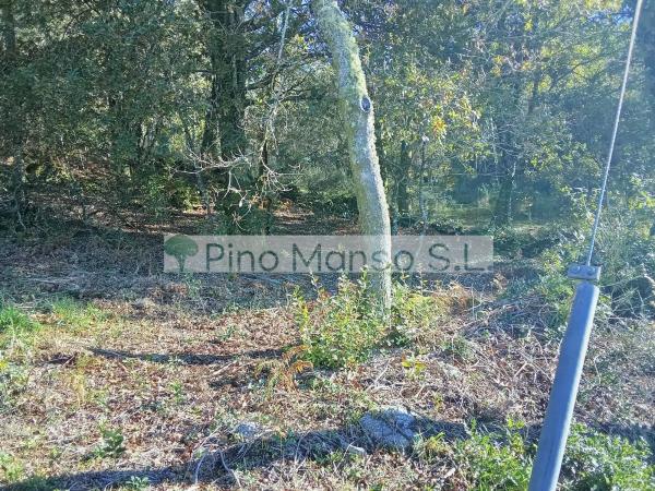 Terreno en Lugar a Xesteira