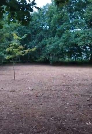 Terreno en Lugar Caritel, 6