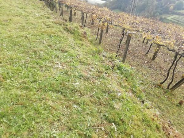 Terreno en Mullerboa, 21