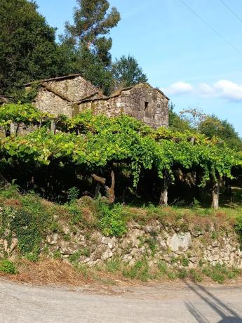 Terreno en Mullerboa, 21