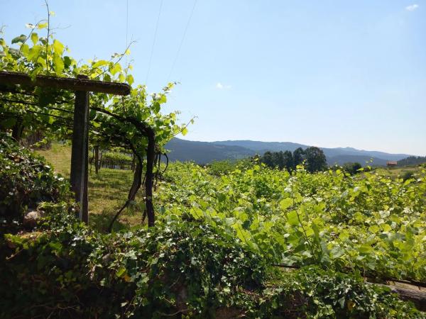 Terreno en Mullerboa, 21