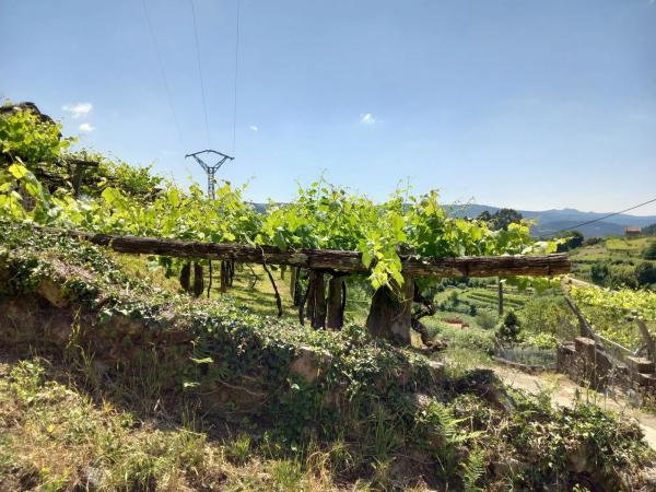 Terreno en Mullerboa, 21