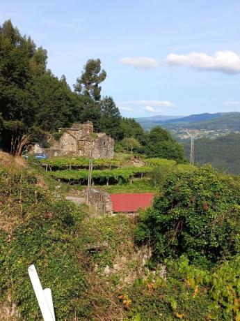 Terreno en Mullerboa, 21