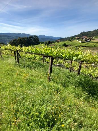 Terreno en Mullerboa, 21