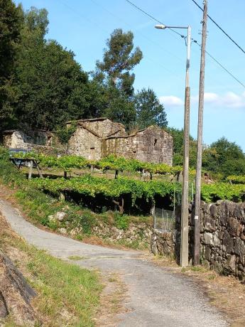 Terreno en Mullerboa, 21