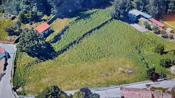 Terreno en Campo Da Torre - Mollabao