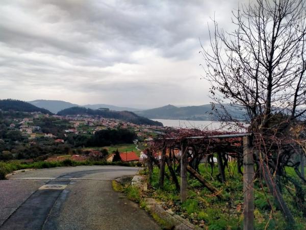 Terreno en Bouza, 110